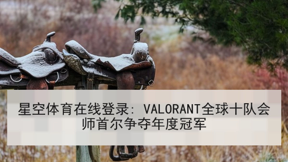 星空体育在线登录: VALORANT全球十队会师首尔争夺年度冠军 星空体育在线登录: VALORANT全球十队会师首尔争夺年度冠军