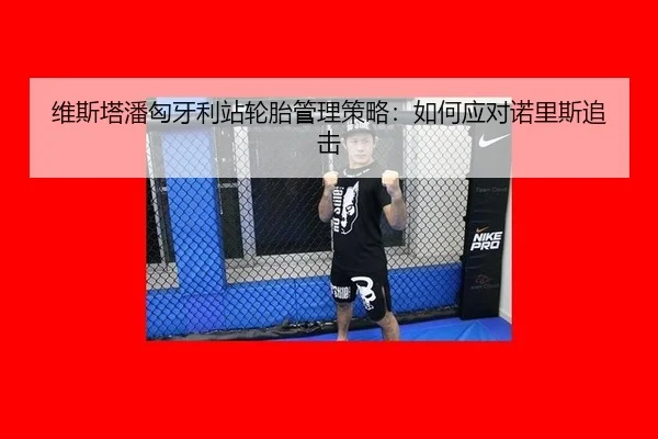 维斯塔潘匈牙利站轮胎管理策略：如何应对诺里斯追击