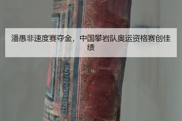 pan-yu-fei-su-du-sai-duo-jin-zhong-guo-pan-yan-dui-ao-yun-zi-ge-sai-chuang-jia-ji-2-659.jpg